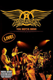 Aerosmith – You Gotta Move