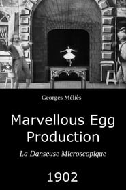 Marvellous Egg Production