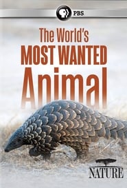 The World’s Most Wanted Animal