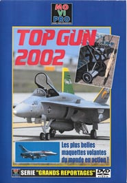 TOP GUN 2002