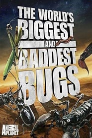 The World’s Biggest and Baddest Bugs